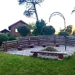 Na Lace * Ostrow Pieckowski